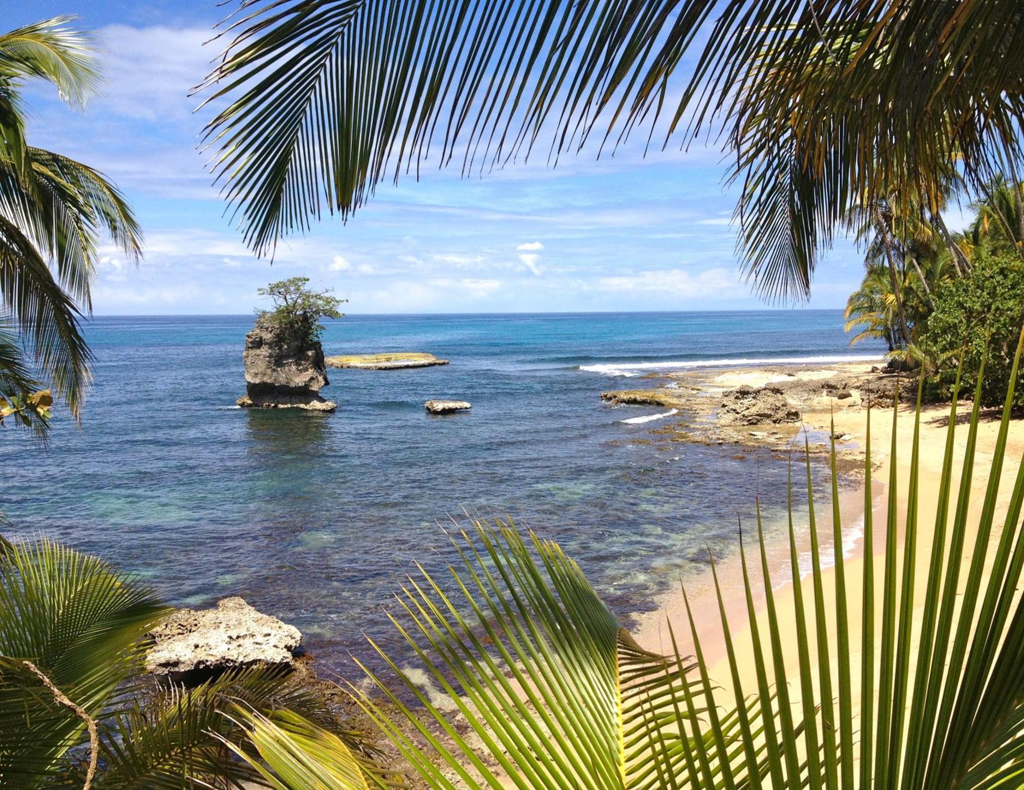 Physis Caribbean Bed & Breakfast Puerto Viejo de Talamanca Exterior photo