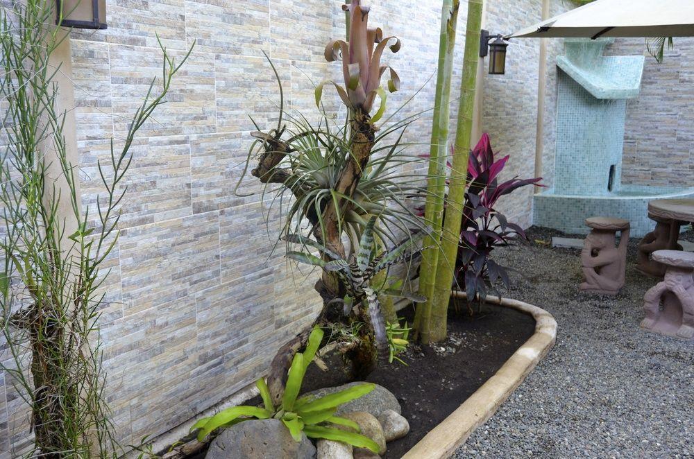 Physis Caribbean Bed & Breakfast Puerto Viejo de Talamanca Exterior photo